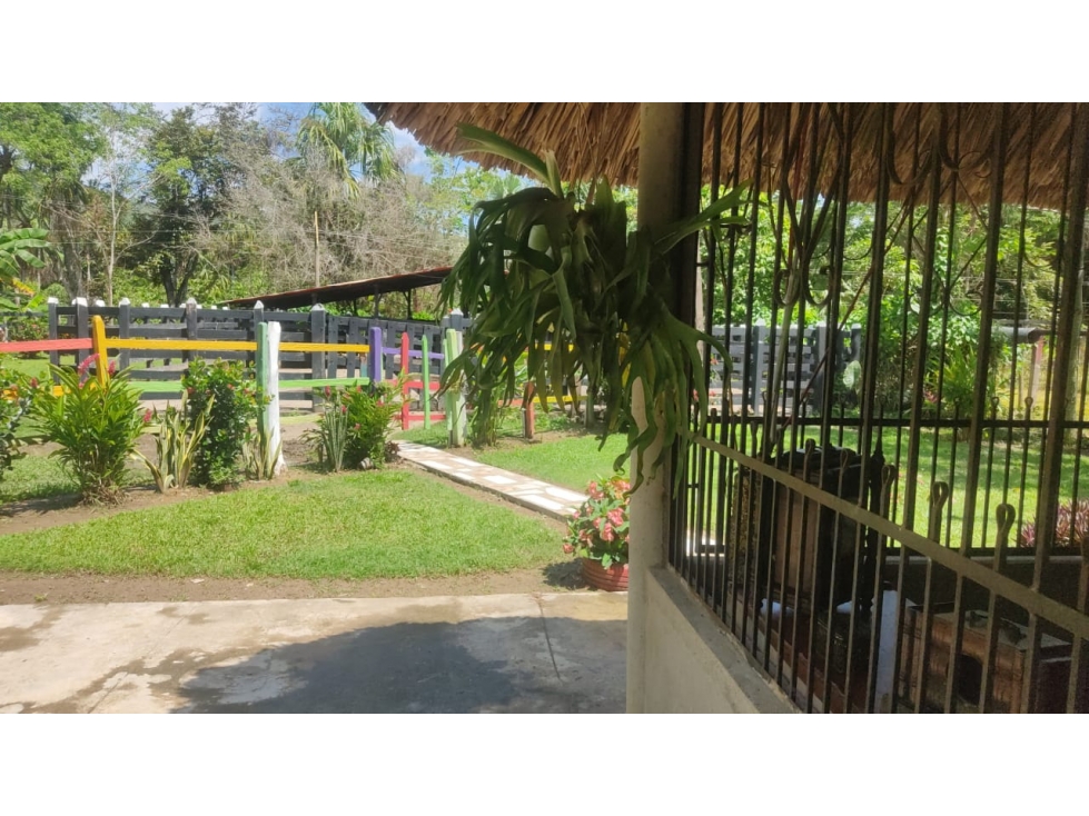 Finca ganadera y agrícola - Tierra Alta - 3
