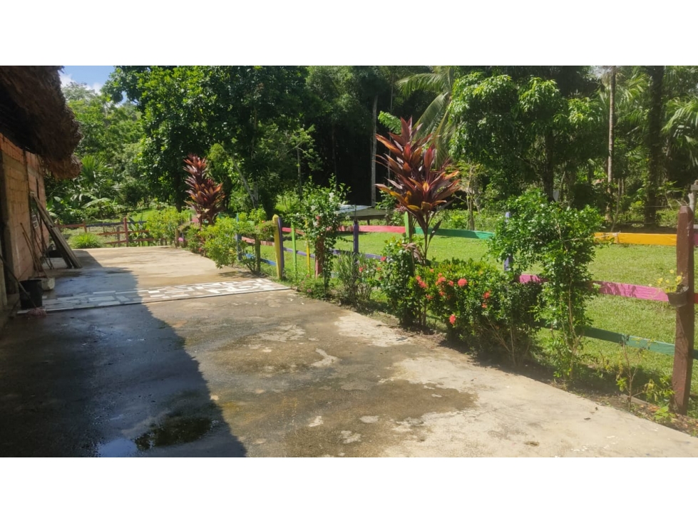 Finca ganadera y agrícola - Tierra Alta - 6