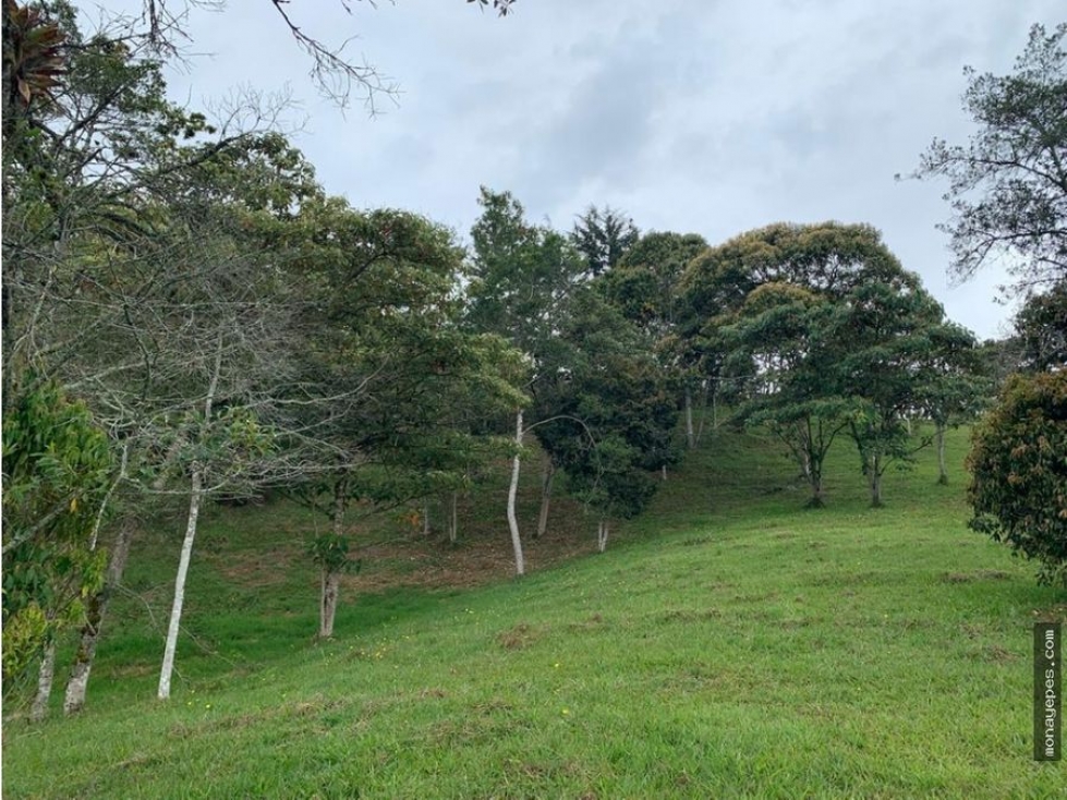Venta de lote en el capiro, la ceja. — foto 2