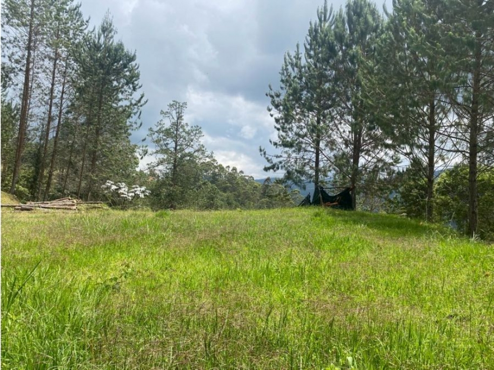 Lote en venta en fizebad, el retiro — foto 2