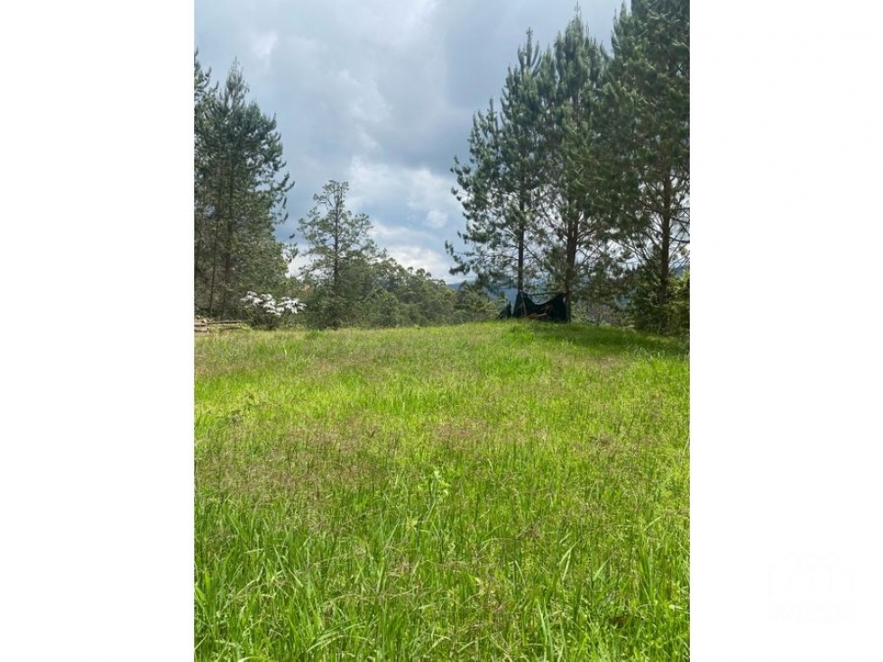 Lote en venta en fizebad, el retiro — foto 5