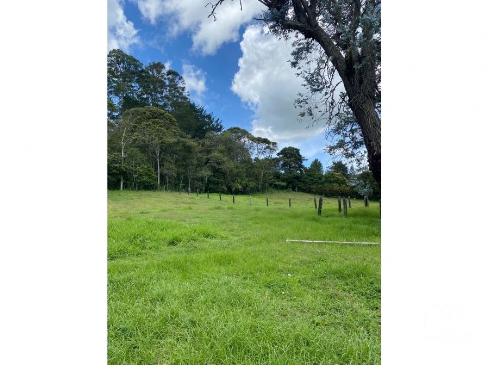 Venta de finca en Pontezuela, Llanogrande — foto 4