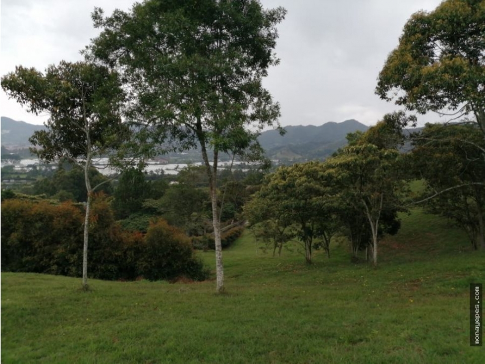 Venta de lote en el capiro, la ceja. — foto 5