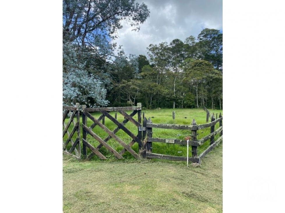Venta de finca en Pontezuela, Llanogrande — foto 5