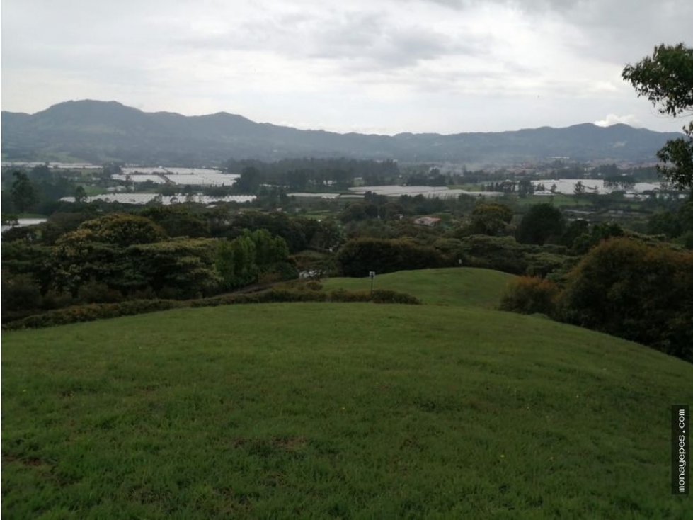 Venta de lote en el capiro, la ceja. — foto 3