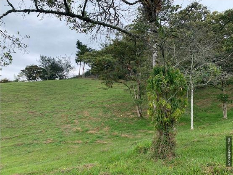 Venta de lote en el capiro, la ceja.