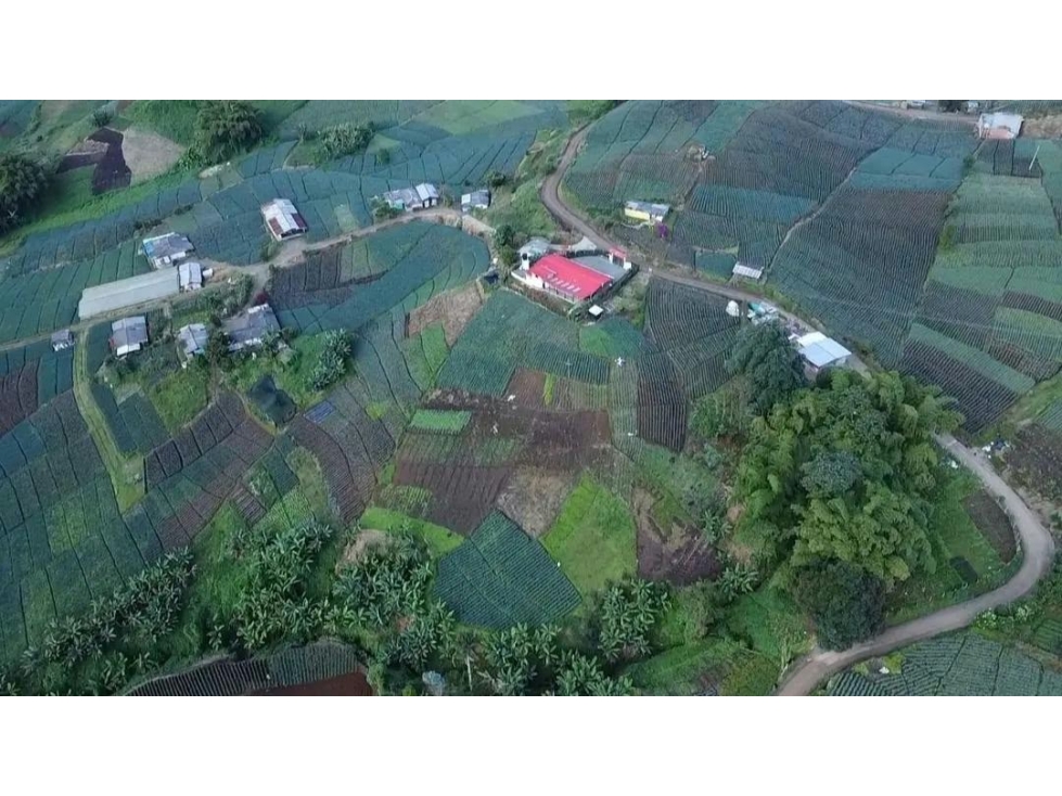 SE VENDE LOTE EN PEREIRA SECTOR LA BELLA - 1