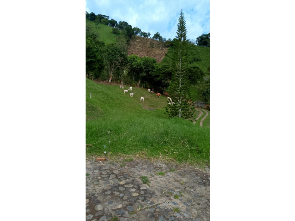 SE VENDE FINCA EN COMBIA — foto 4