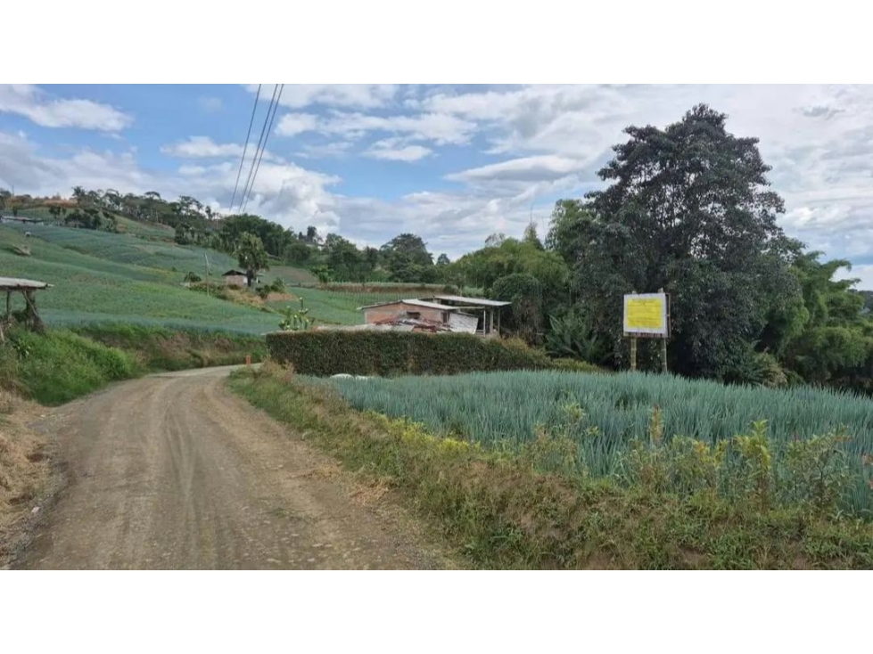 SE VENDE LOTE EN PEREIRA SECTOR LA BELLA - 3