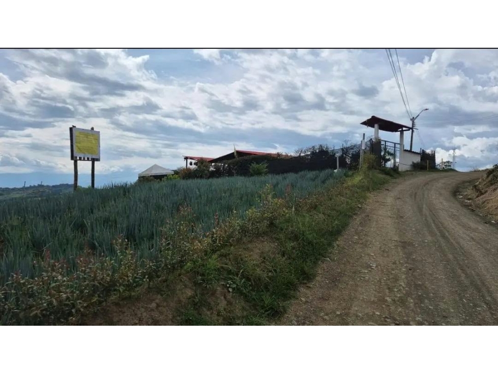 SE VENDE LOTE EN PEREIRA SECTOR LA BELLA - 4