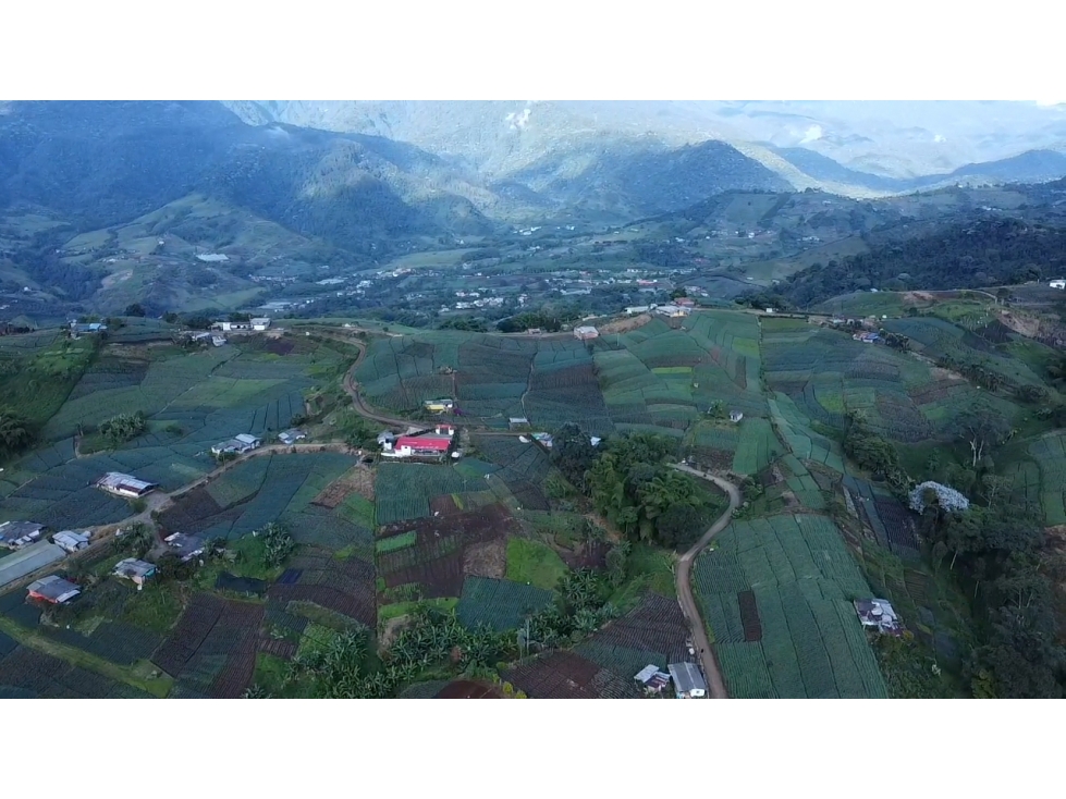 SE VENDE FINCA EN PREREIRA SECTOR LA BELLA - 6