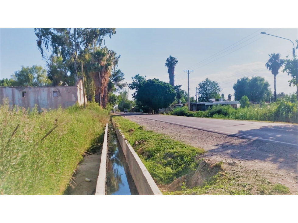 Venta Finca apta cultivos en Mendoza Argentina - 2