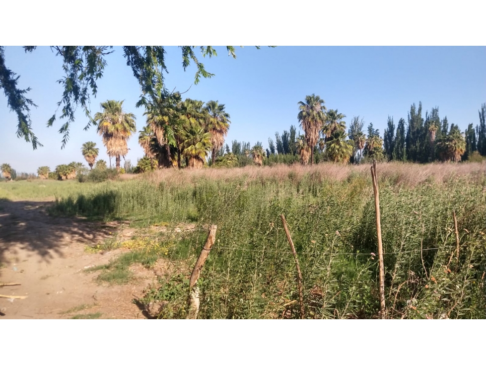 Venta Finca apta cultivos en Mendoza Argentina - 5