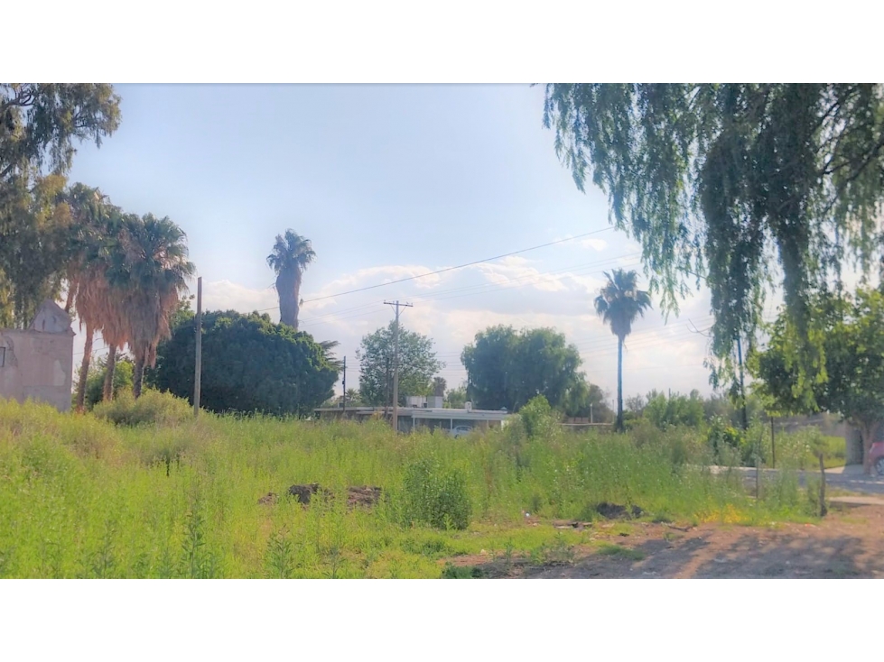 Venta Finca apta cultivos en Mendoza Argentina - 6