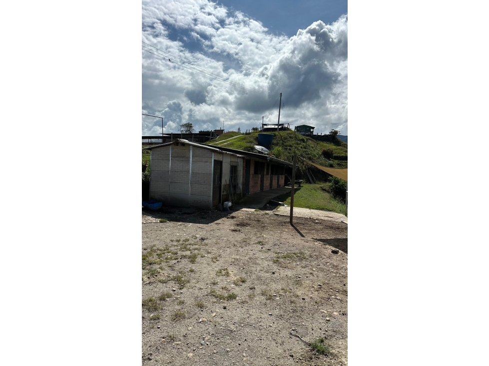 Finca en Venta en Padua Tolima - 6