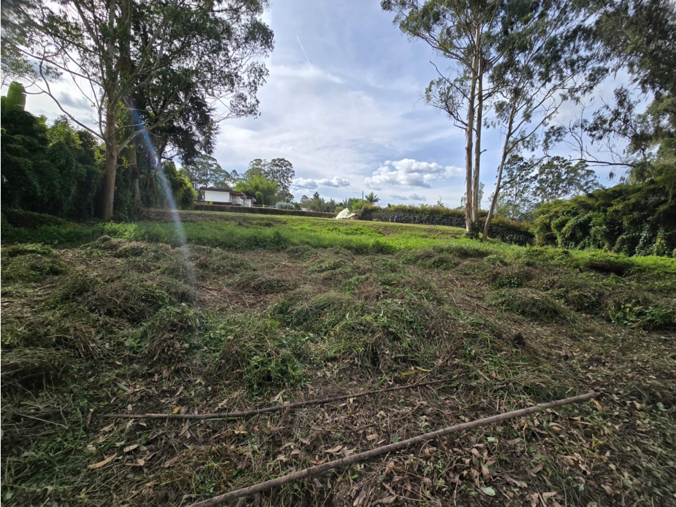 Lote en Venta Rionegro LLanogrande