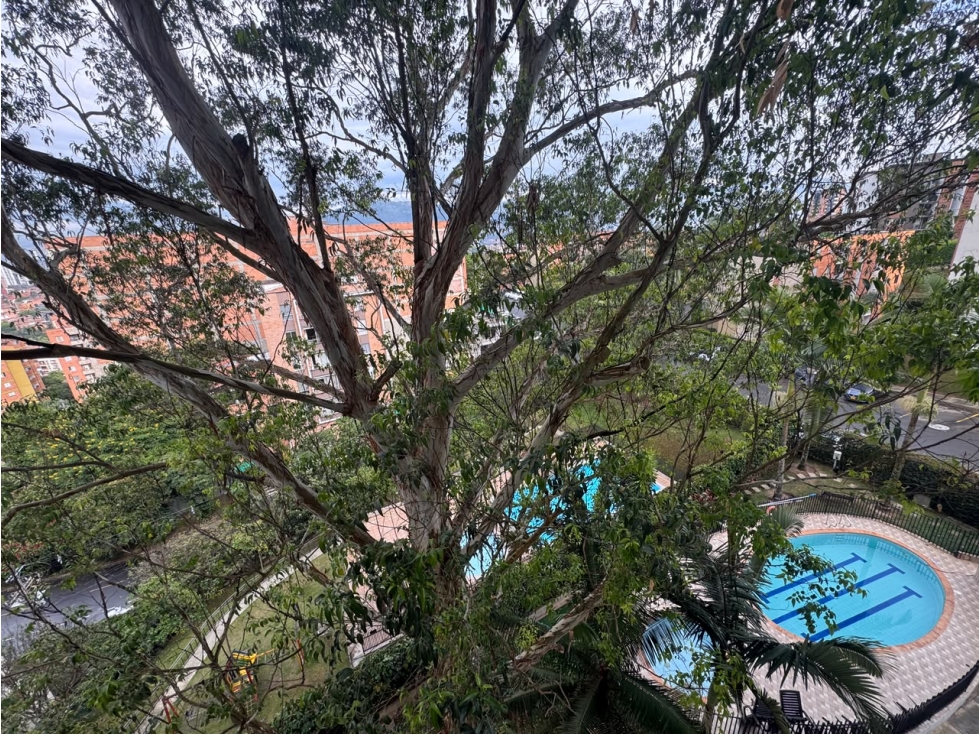 EN RENTA ENVIGADO, LOS NARANJOS — foto 3