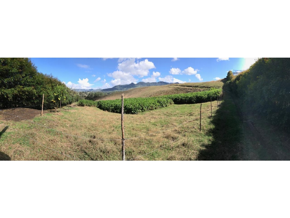 LOTE EN VENTA EN RIONEGRO — foto 4