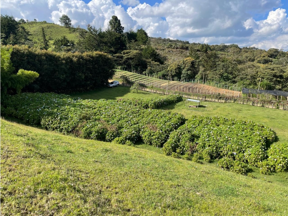 LOTE EN VENTA EN RIONEGRO — foto 6