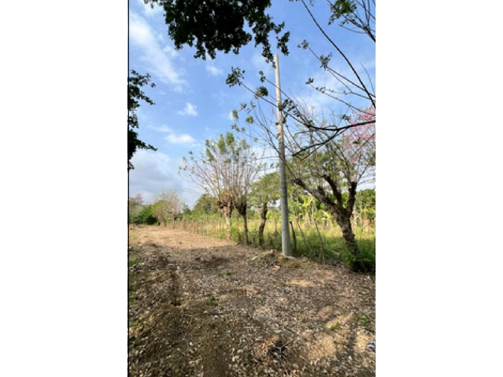 CONSTRUYE TU SUEÑO EN REGALO CAMPESTRE, LOTES DESDE 1.200 MT2 — foto 5