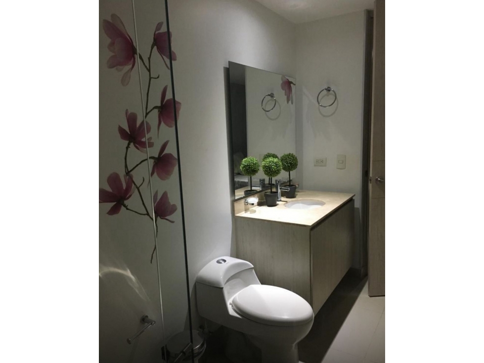 2625 APARTAMENTO EN CENTRAL PARK SE SIENTE EL CONFORT Y ELEGANCIA — foto 5