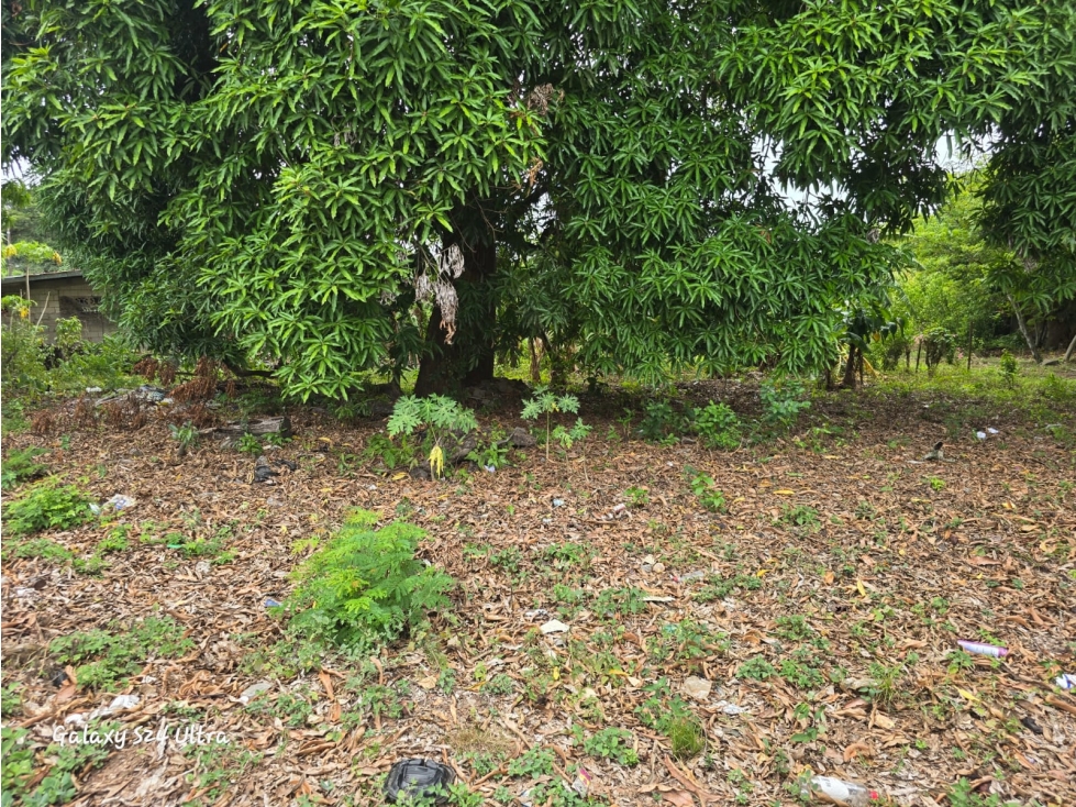 VENTA DE CASA EN AGUADULCE - 1