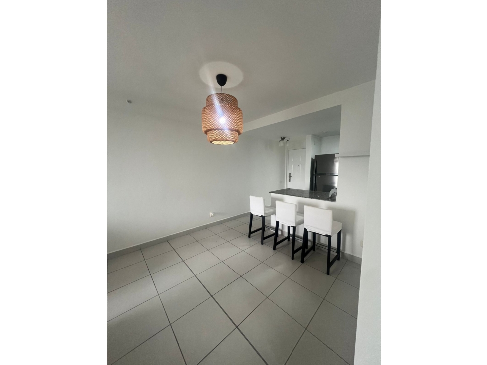 ALQUILER DE APARTAMENTO EN PH SOLOK