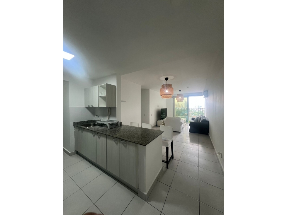 ALQUILER DE APARTAMENTO EN PH SOLOK — foto 4