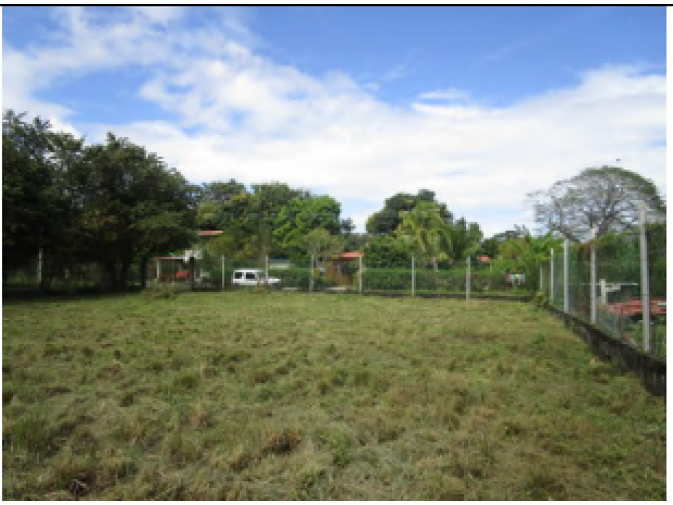 CHAME, NUEVA GORGONA, VENDO TERRENO 1,250MTS2 PLANOS