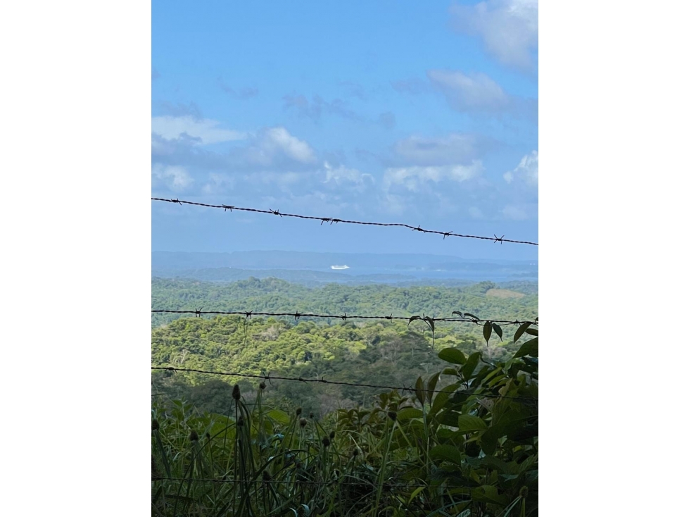 COLÓN , SE VENDE FINCA DE 36.5HAS - 2