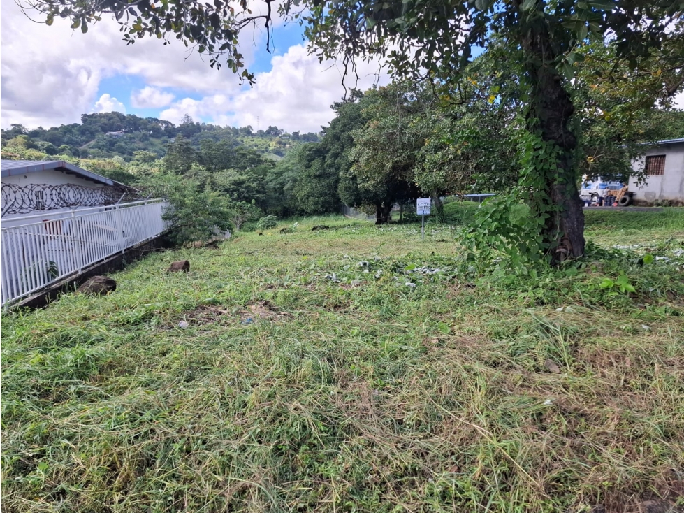 TOCUMEN SE ALQUILA TERRENO DE MTS — foto 2