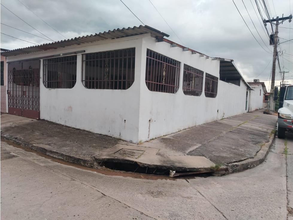 LAS MAÑANITA, PARQUE REAL — foto 2