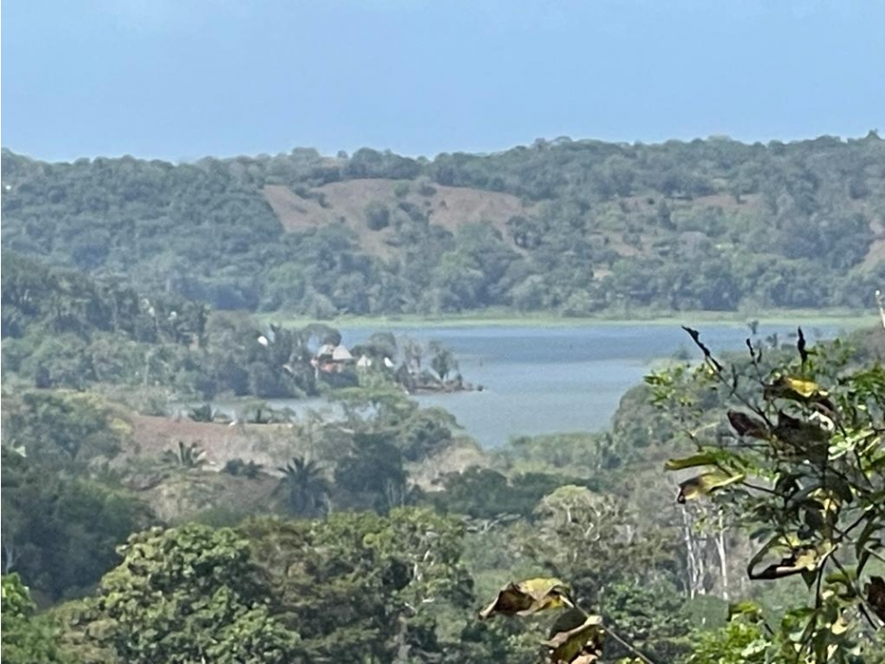 COLÓN , SE VENDE FINCA DE 36.5HAS - 4