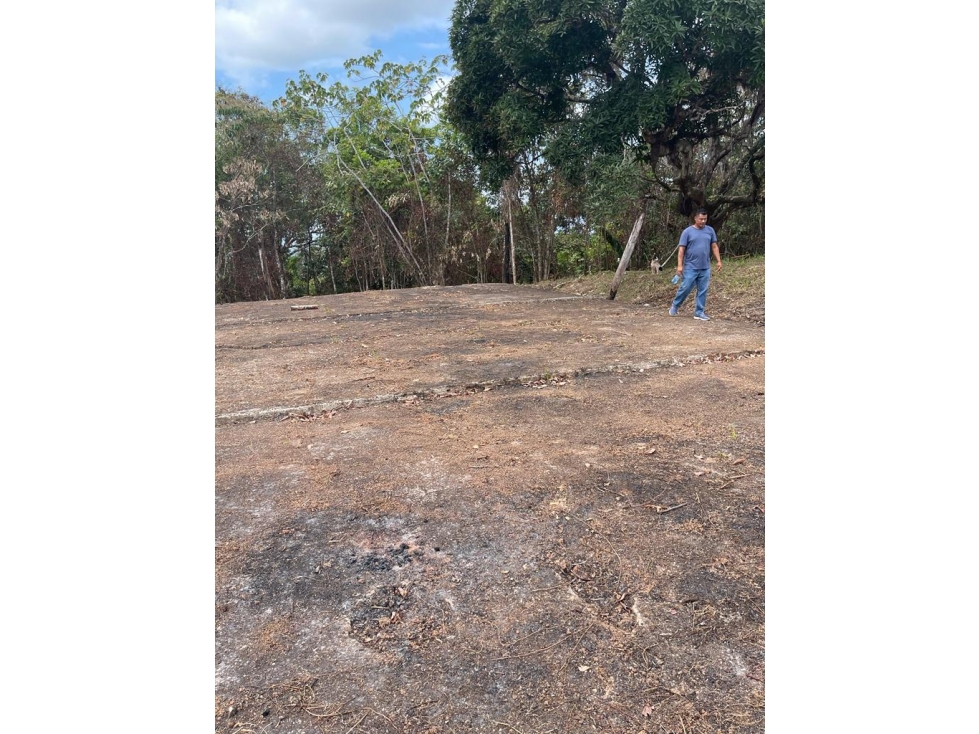 COLÓN , SE VENDE FINCA DE 36.5HAS - 5