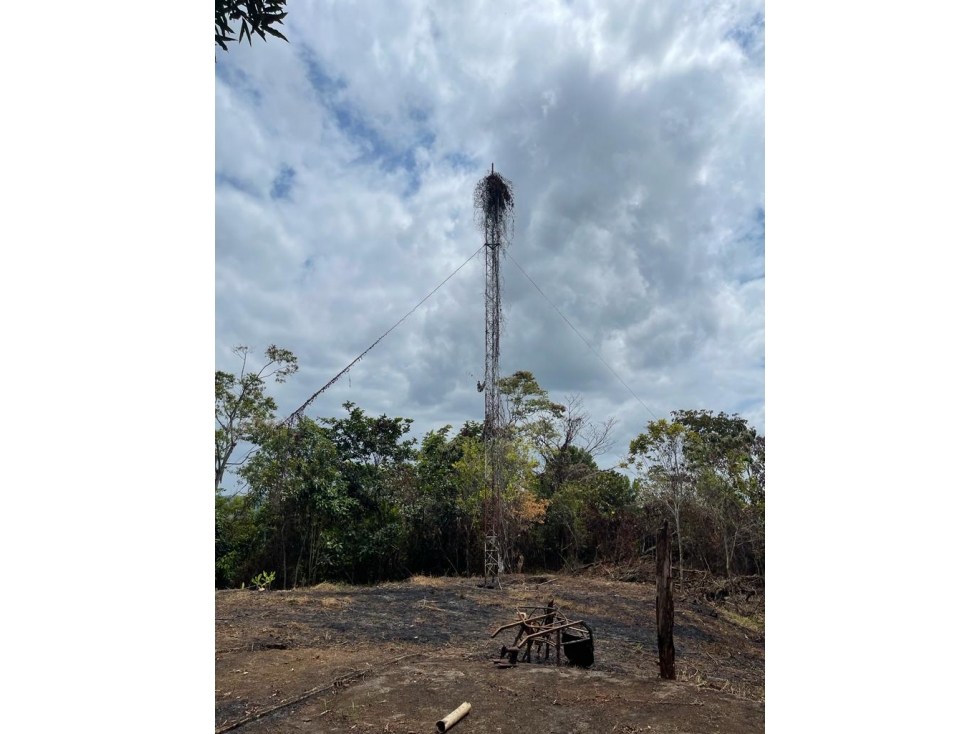 COLÓN , SE VENDE FINCA DE 36.5HAS - 6