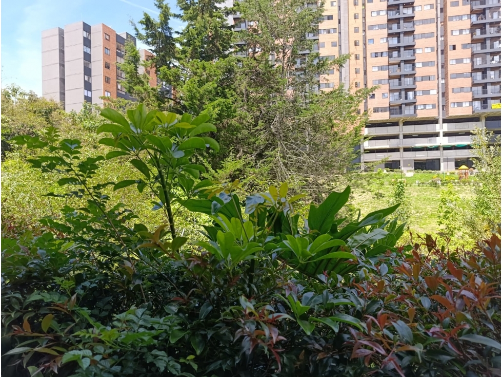 Apartaestudio en arriendo en Rionegro, Antioquia Urbanización Olivar — foto 6