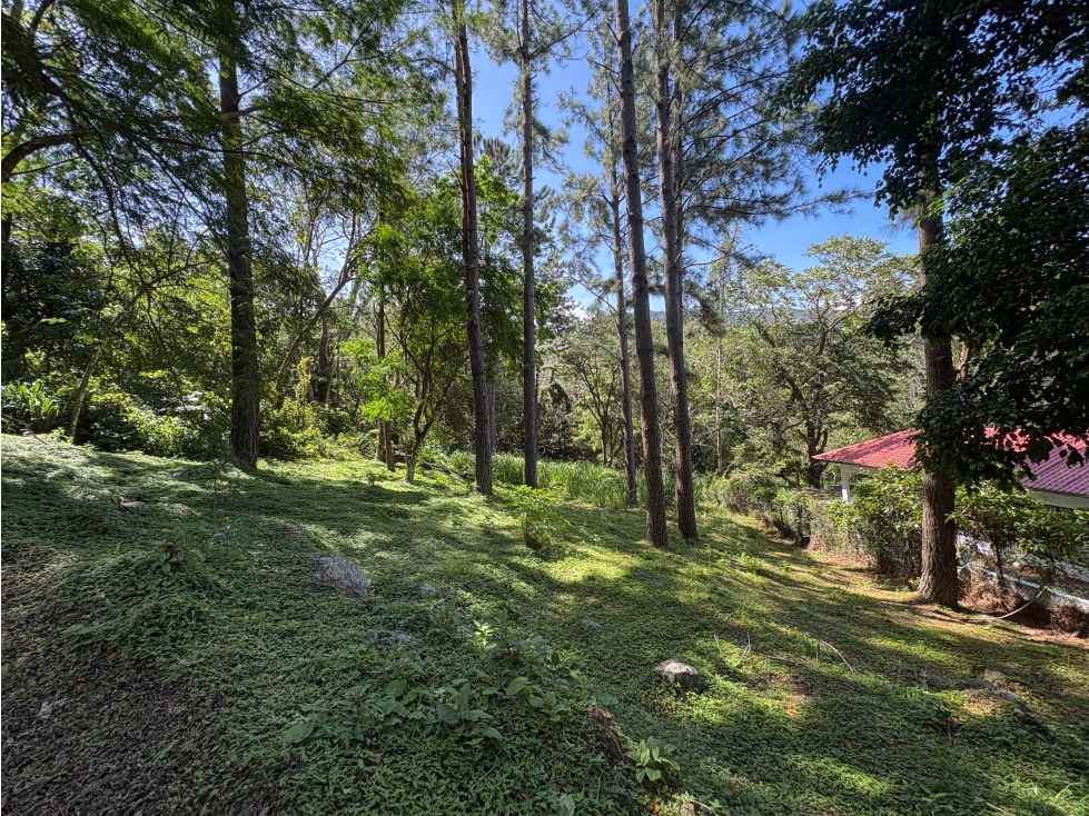 Lote listo para construir en Altos del María
