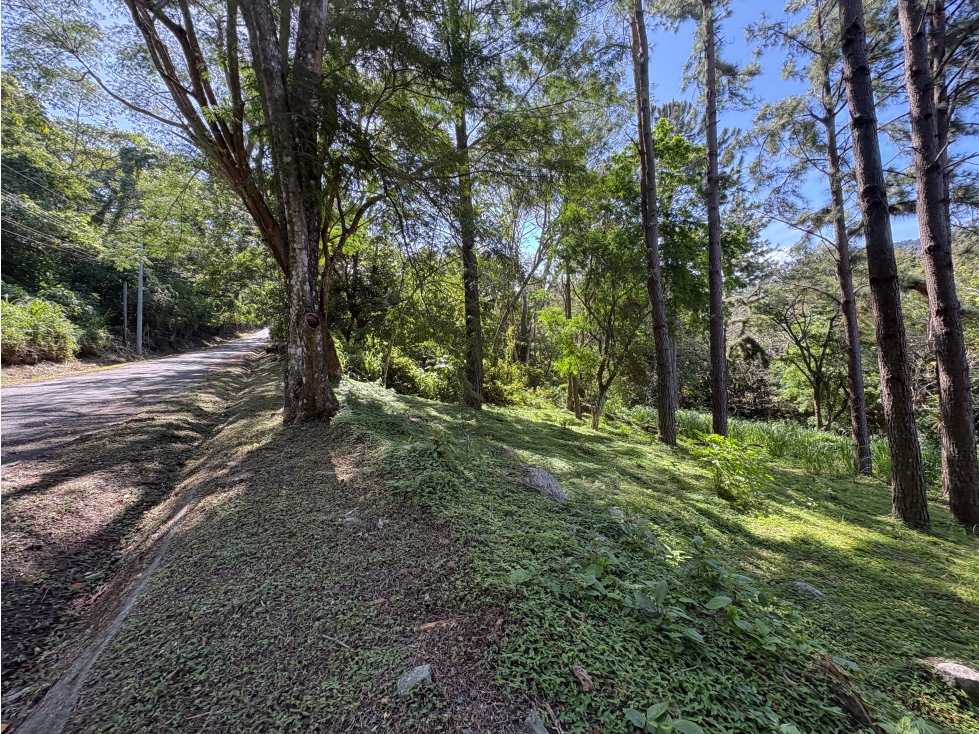 Lote listo para construir en Altos del María — foto 2