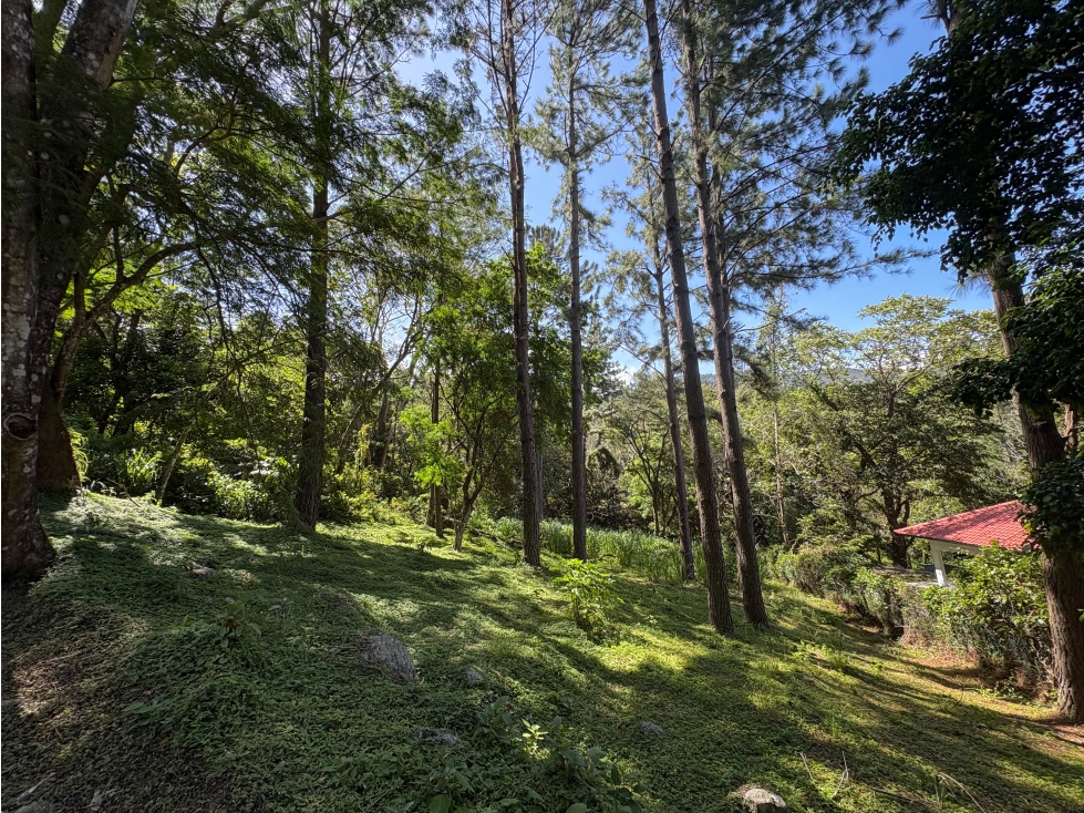 Lote listo para construir en Altos del María — foto 3