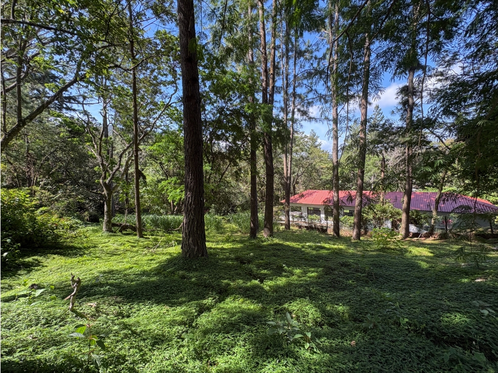 Lote listo para construir en Altos del María — foto 4