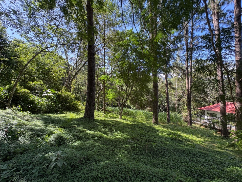 Lote listo para construir en Altos del María — foto 5