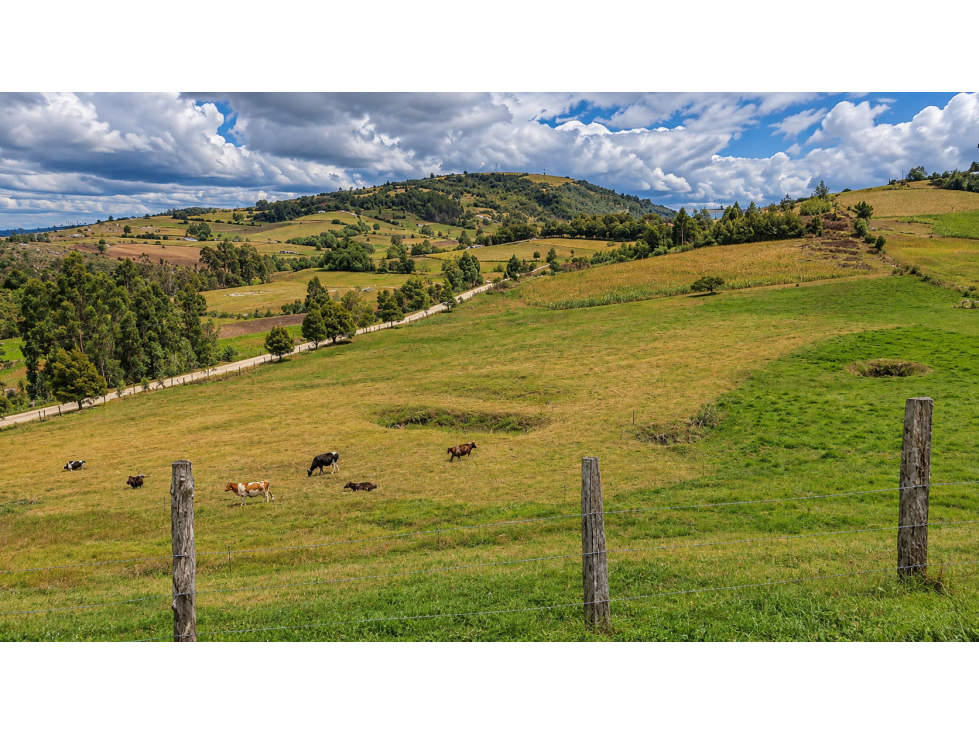 Excelente oportunidad de inversión en Chivatá, Boyacá - 4