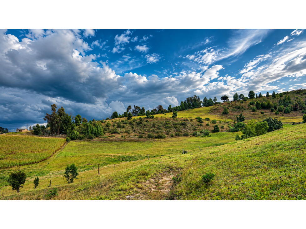 Excelente oportunidad de inversión en Chivatá, Boyacá - 6