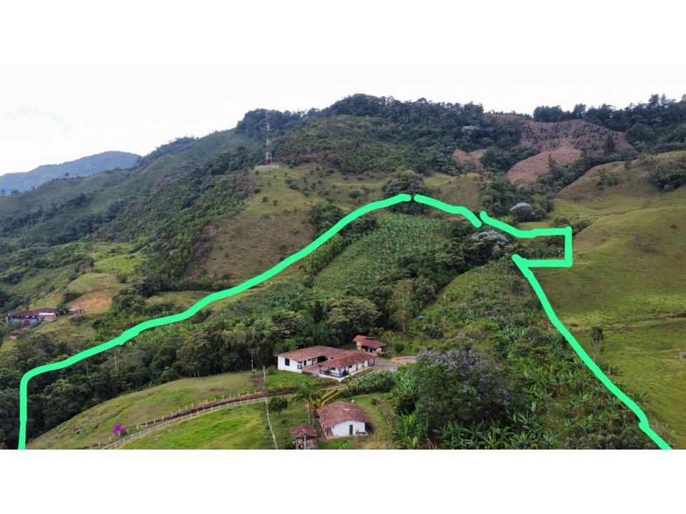Venta De Finca En Andes Antioquia