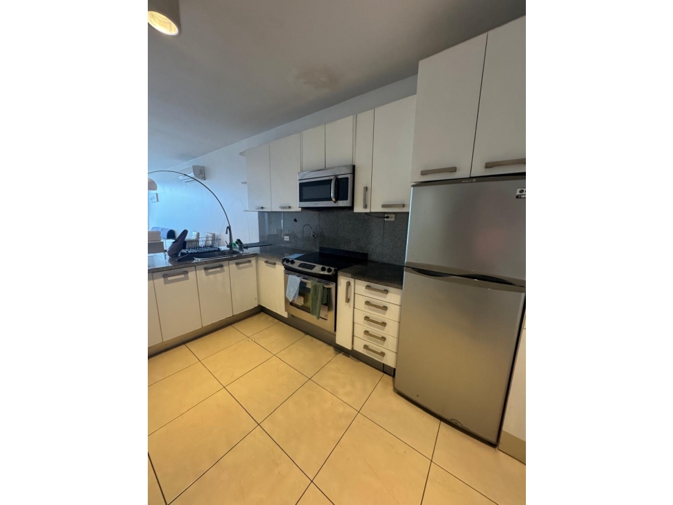 Alquiler de Apartamento amoblado en avenida Balboa — foto 6