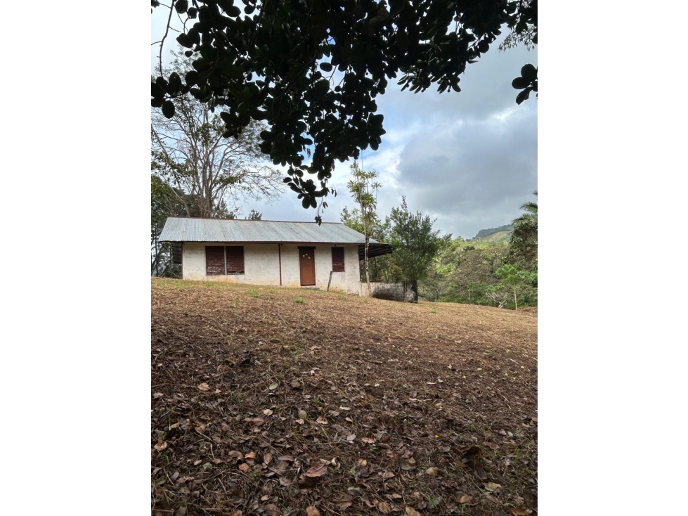 FINCA EN VENTA CAPIRA, PANAMÁ OESTE - 3