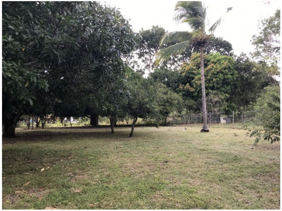 Se Vende Terreno en Gorgona - 1