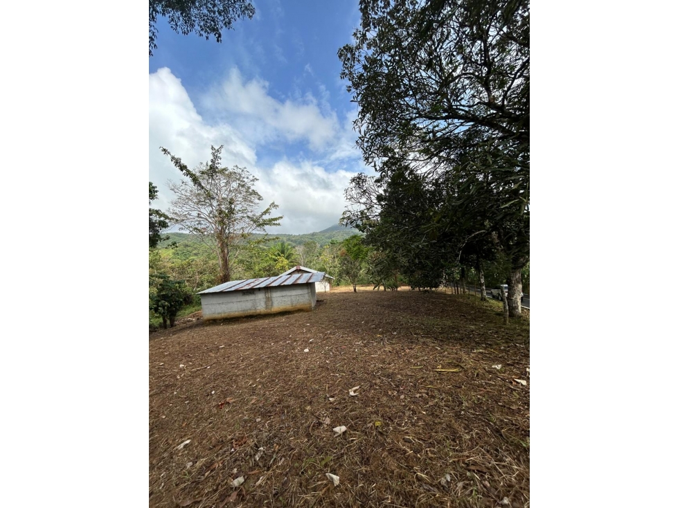 FINCA EN VENTA CAPIRA, PANAMÁ OESTE - 6