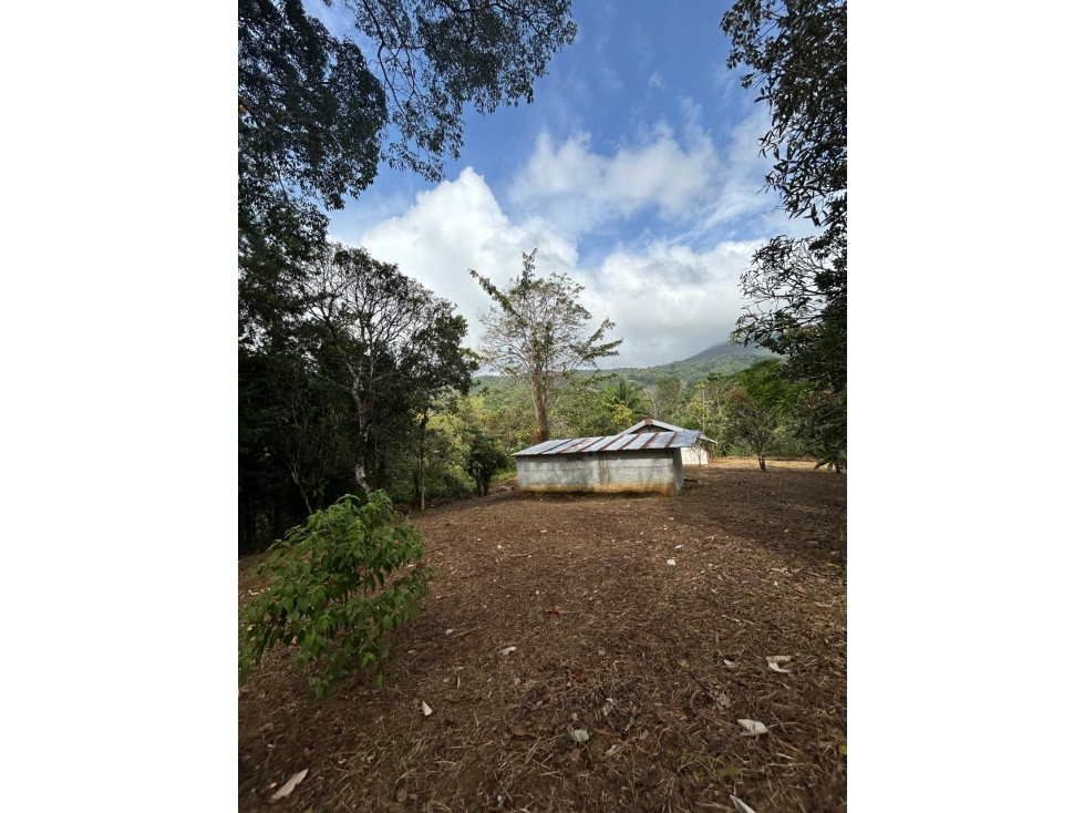 FINCA EN VENTA CAPIRA, PANAMÁ OESTE - 5