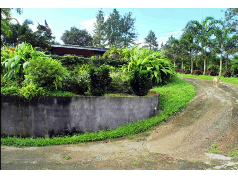FINCA CAMPESTRE EN VENTA PICO PIXBAE, PENONOMÉ, COCLÉ - 1